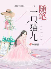 随笔一只猫儿