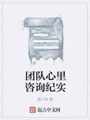 团队心里咨询纪实