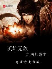 英雄无敌之法师领主