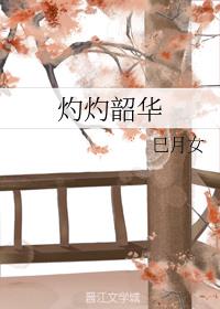 灼灼韶华