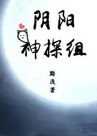 阴阳神探组