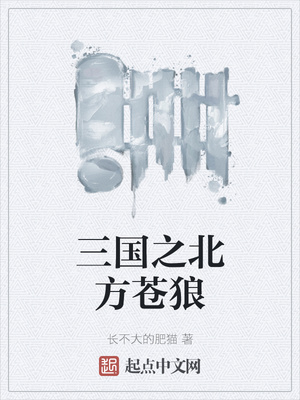 三国之北方苍狼李征