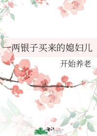 一两银子买来的媳妇儿