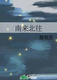 南来北往