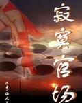 《寂寞官场》