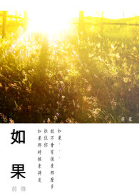 如果-前传
