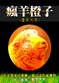 疯羊橙子(BL)