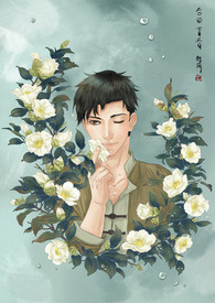 墨山茶