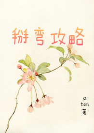 掰弯攻略（繁）